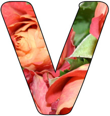 Deko-Buchstaben-Blumen_V.jpg